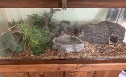 100 Gallon Tank