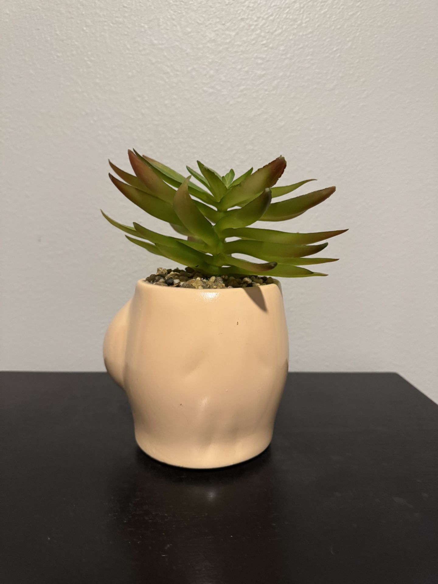 Fake Boob Plant