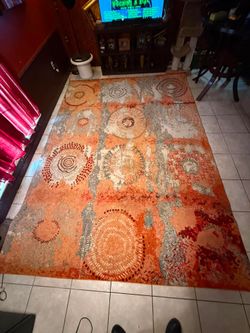 10' x 12' Area Rug