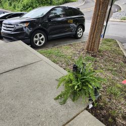 2015 Ford Edge
