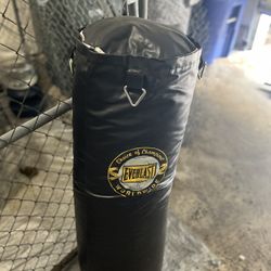 Heavy Punching Bag