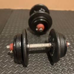 CLASSIC BFCO  Dumbbells [ Reconditioned to its original glory 60s/70s]  82 lbs.
