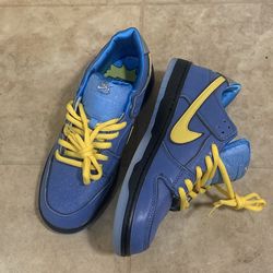 Nike sb