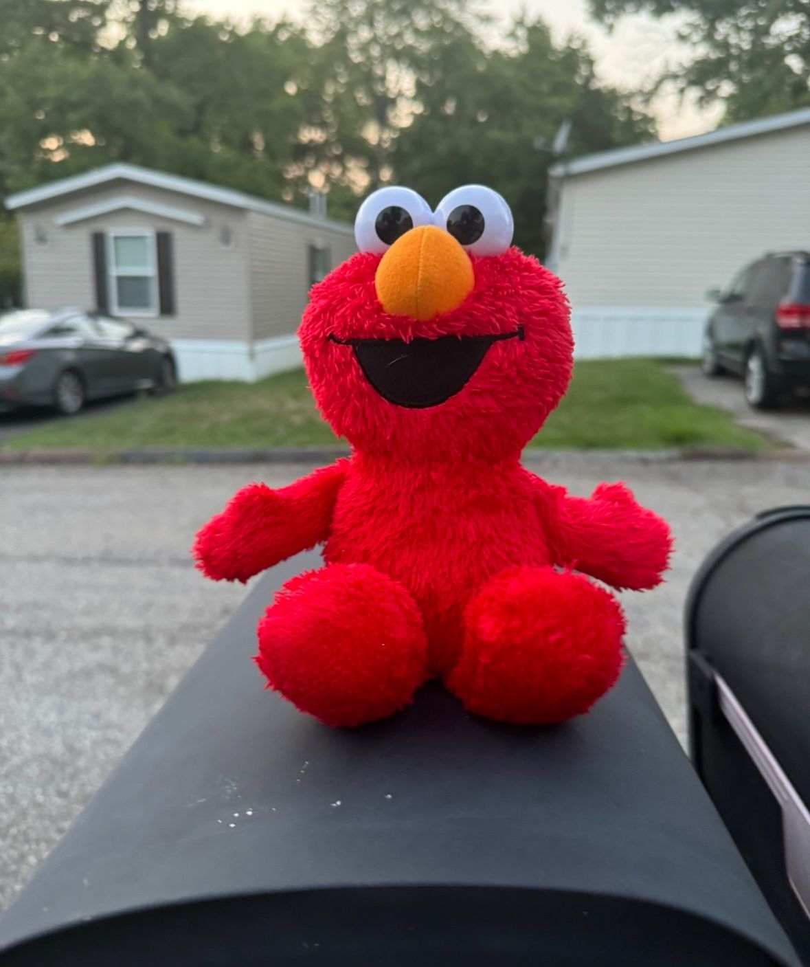 Elmo World Plush With Sound