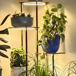 Plant Stand with Lights And Timer