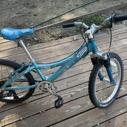 Trek Mt60 Girls Mountain Bike 19”
