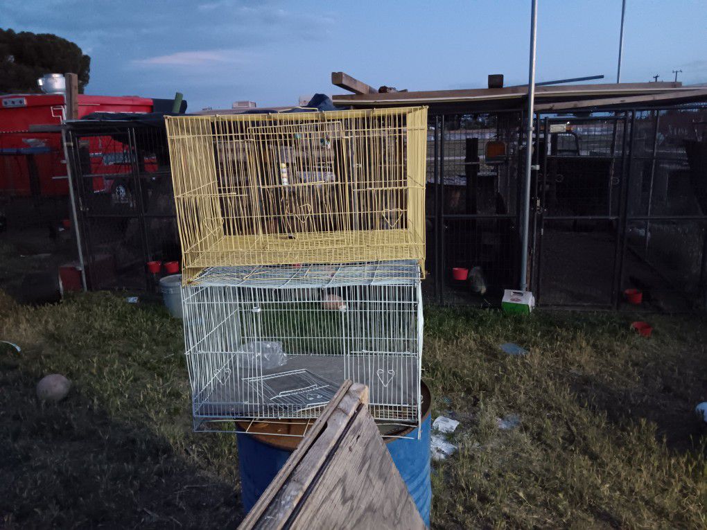 2 Bird Cages Had Them For Birds Since Last Year 30$ Takes Both Cages SELLING Pair