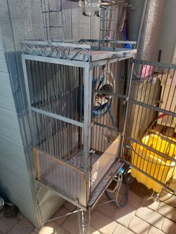 Parrot Cage