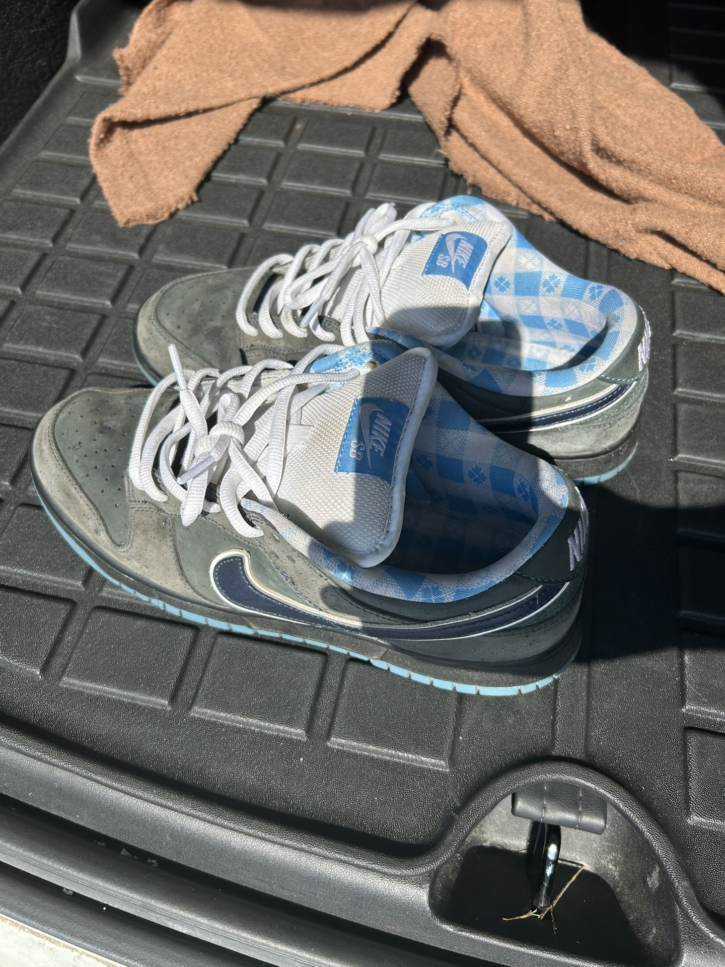 nike sb dunks