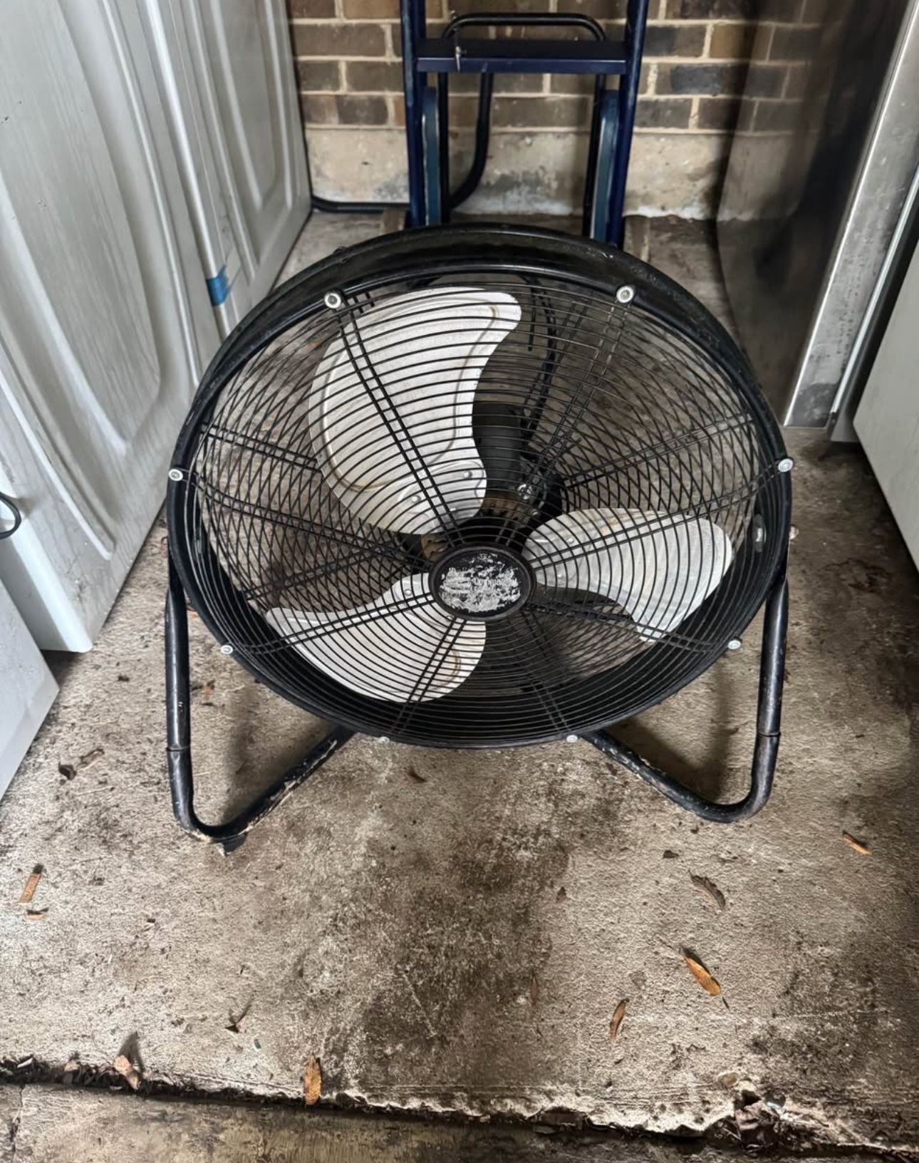 Shop Fan