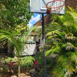 Basketball Hoop