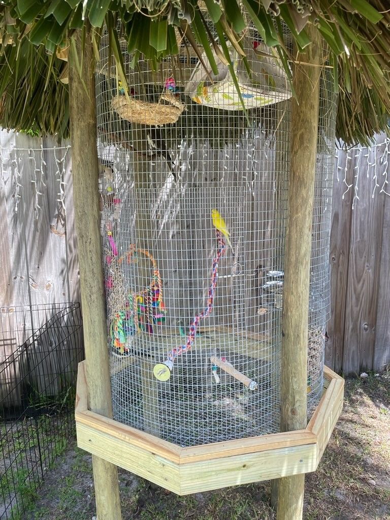 Bird Cage