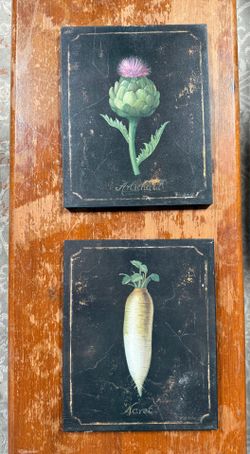 Vintage French Botanical Wall Art Plaques – 9” x 12” – Made in Canada – Set of 2