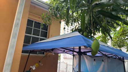 Tent,table,propane tank,bouncy, swing