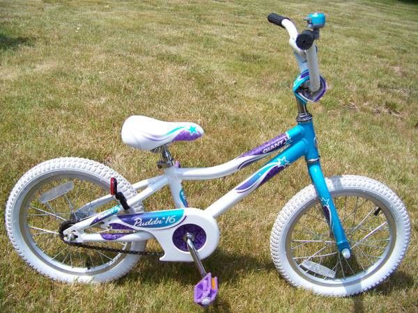 Very Nice 16" Girls Bike Giant Puddin'