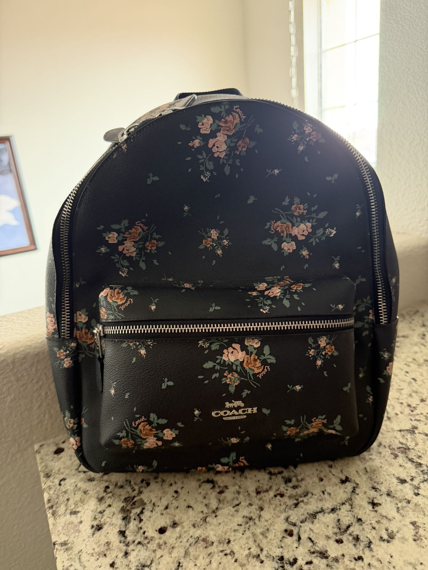 Coach Medium Charlie Backpack