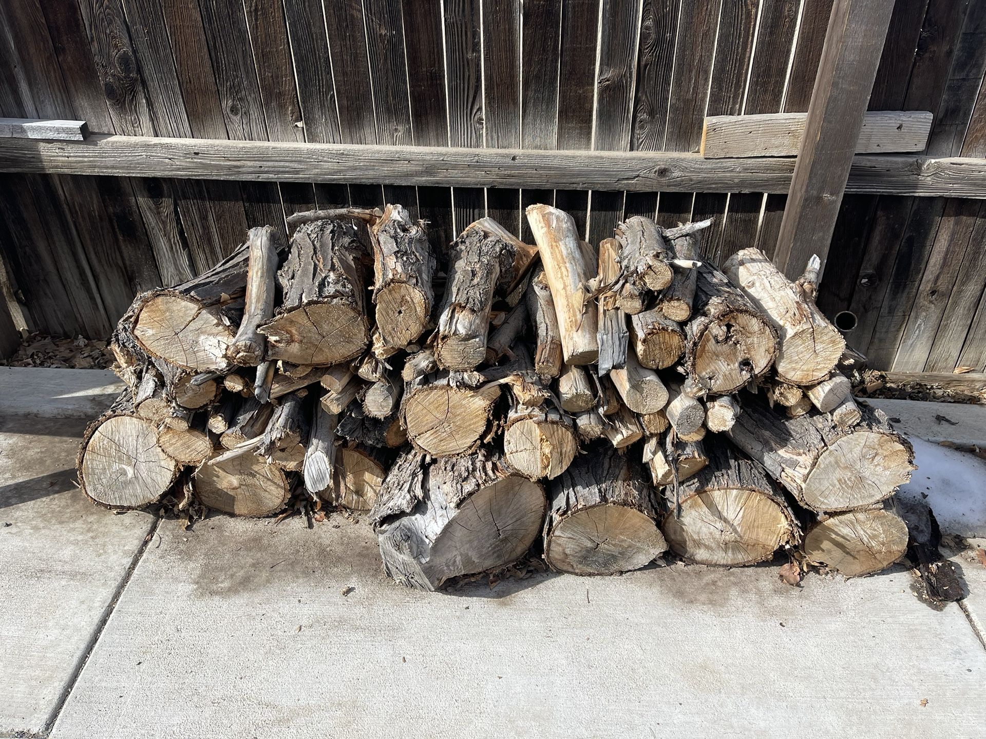 Maple Tree Logs