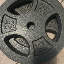 Two 25 lb Plates 