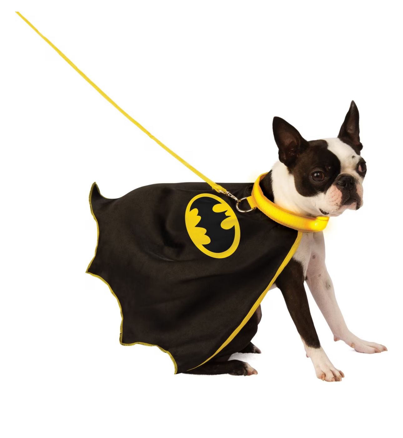 Rubie's Costume Company Batman Light Up Collar Dog & Cat Costume, Medium