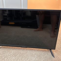 Insignia Flat Screen TV