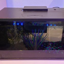 Glow Fish Tank, Heater, Filter & Accessories-14Lx9Hx8D 