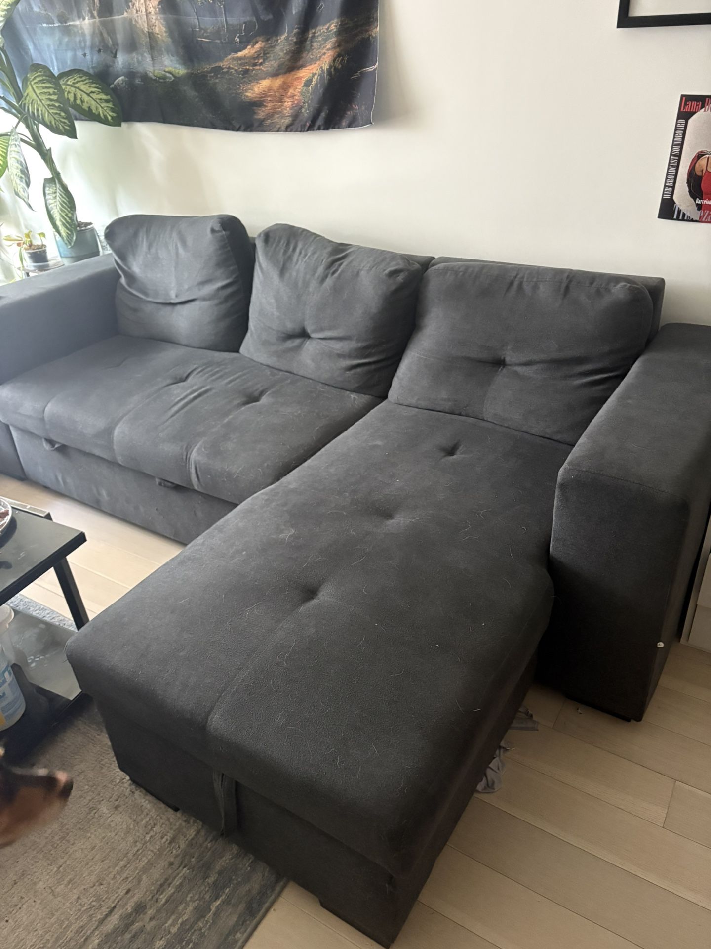 Couch For Sale 