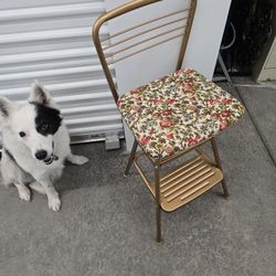 COSTCO Stepstool/ Chair