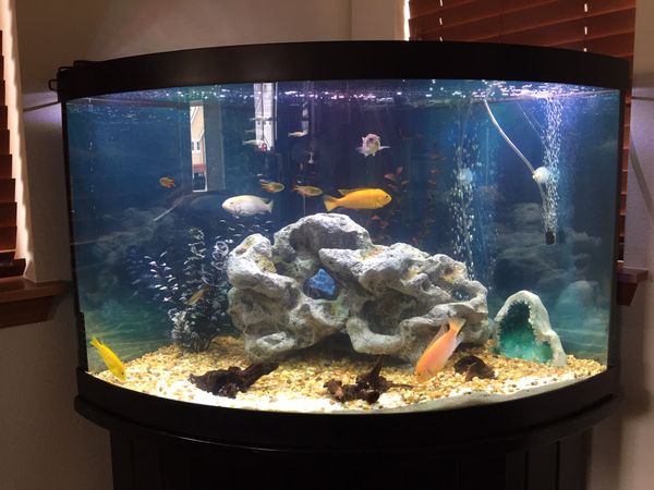 air pump for 10 gallon fish tank