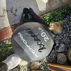 Wall Ball 20lb