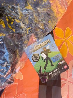 Minecraft costume