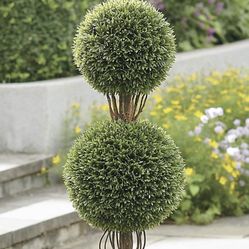 Double Ball Topiary