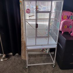 Bird Cage 