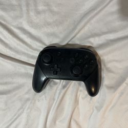 Nintendo Pro Controller 