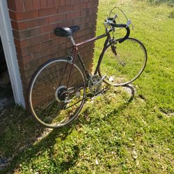 Lotus Bicycle