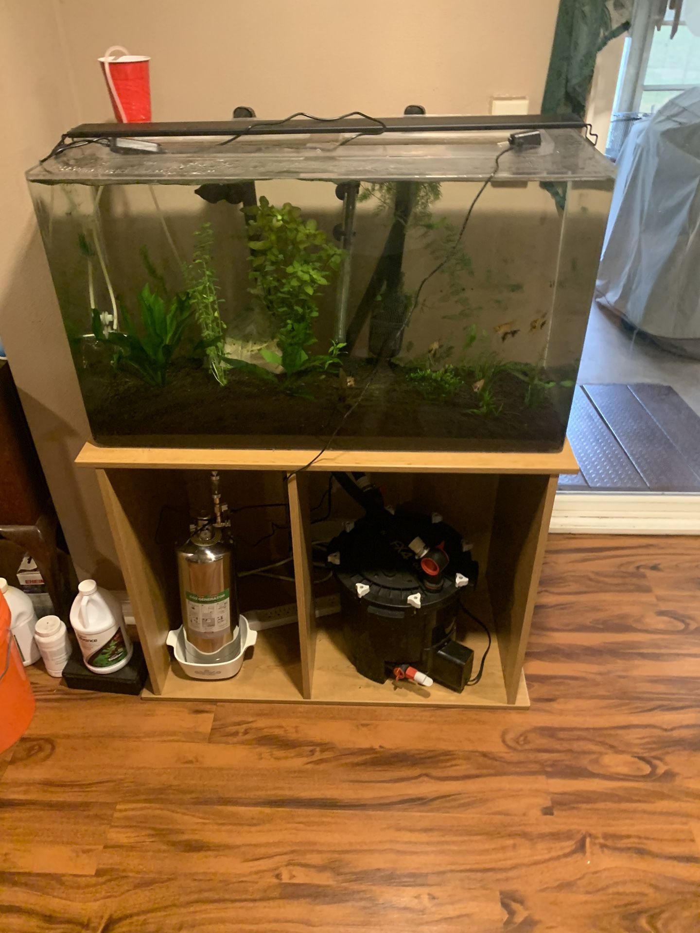 2 Fish Tanks Complete Setup’s 