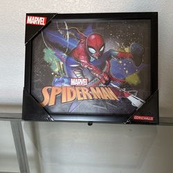 Spiderman Picture