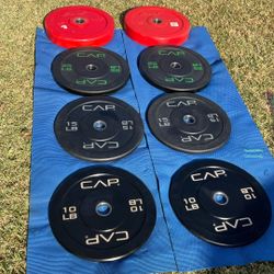 Weights/ Bumper Plates 