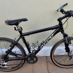 Giant Bike