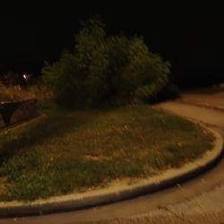 Yard And Crap Removal