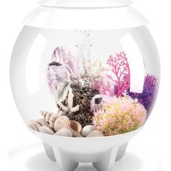 BiOrb Fish tank $50