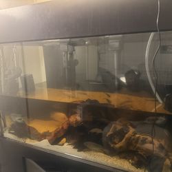 Free 150 Gallon Tank 