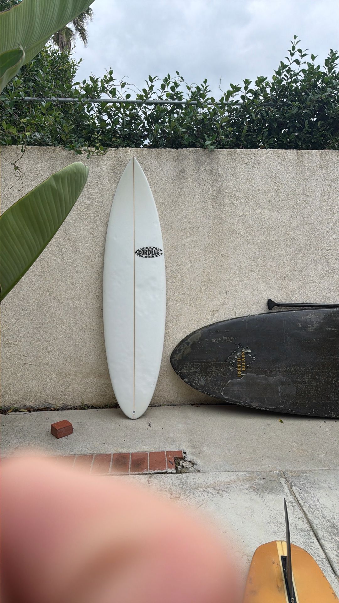 Cordell surfboard
