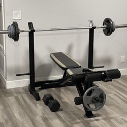 Bench Press With Weights And Dumbbell
