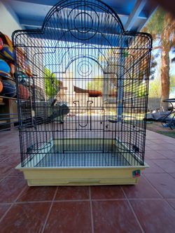 Bird cage good size
