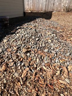 Free Rock