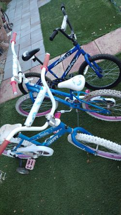 3 blue bikes.    $.  110.  All.