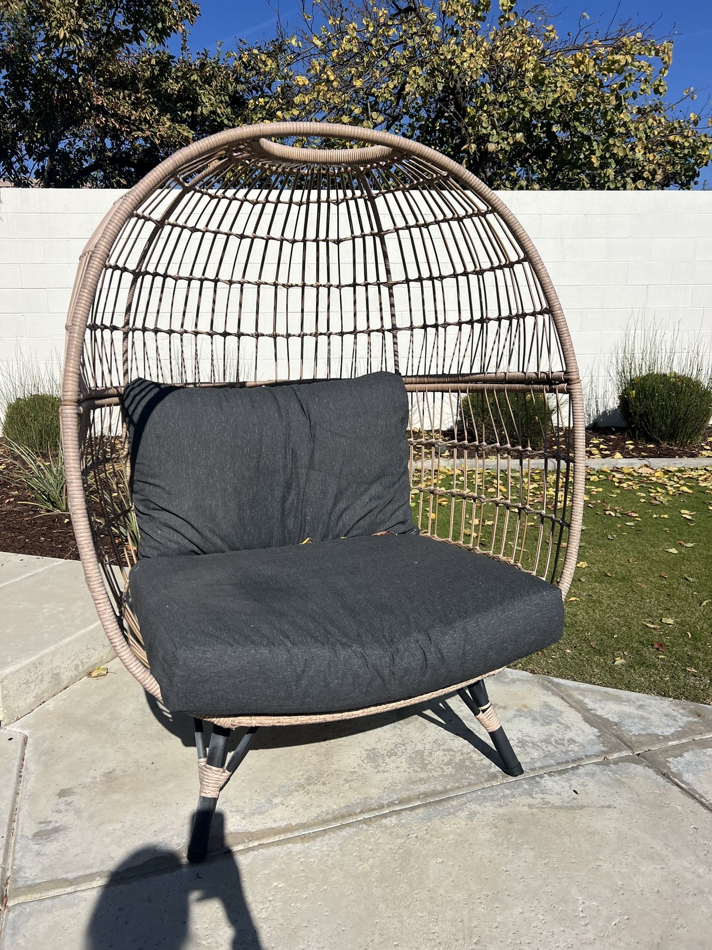Egg Chair