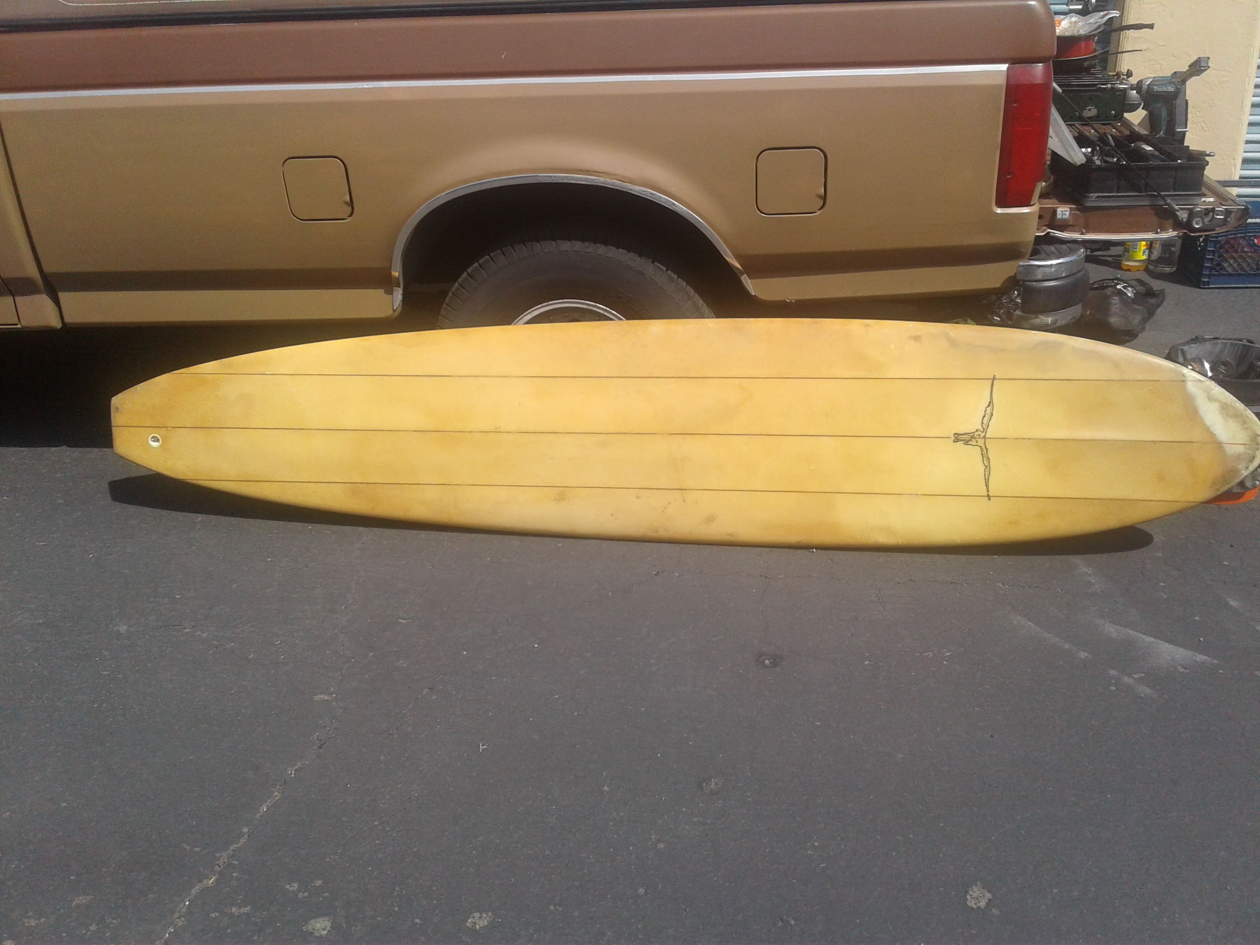 Seagull 9'8" surfboard trifin