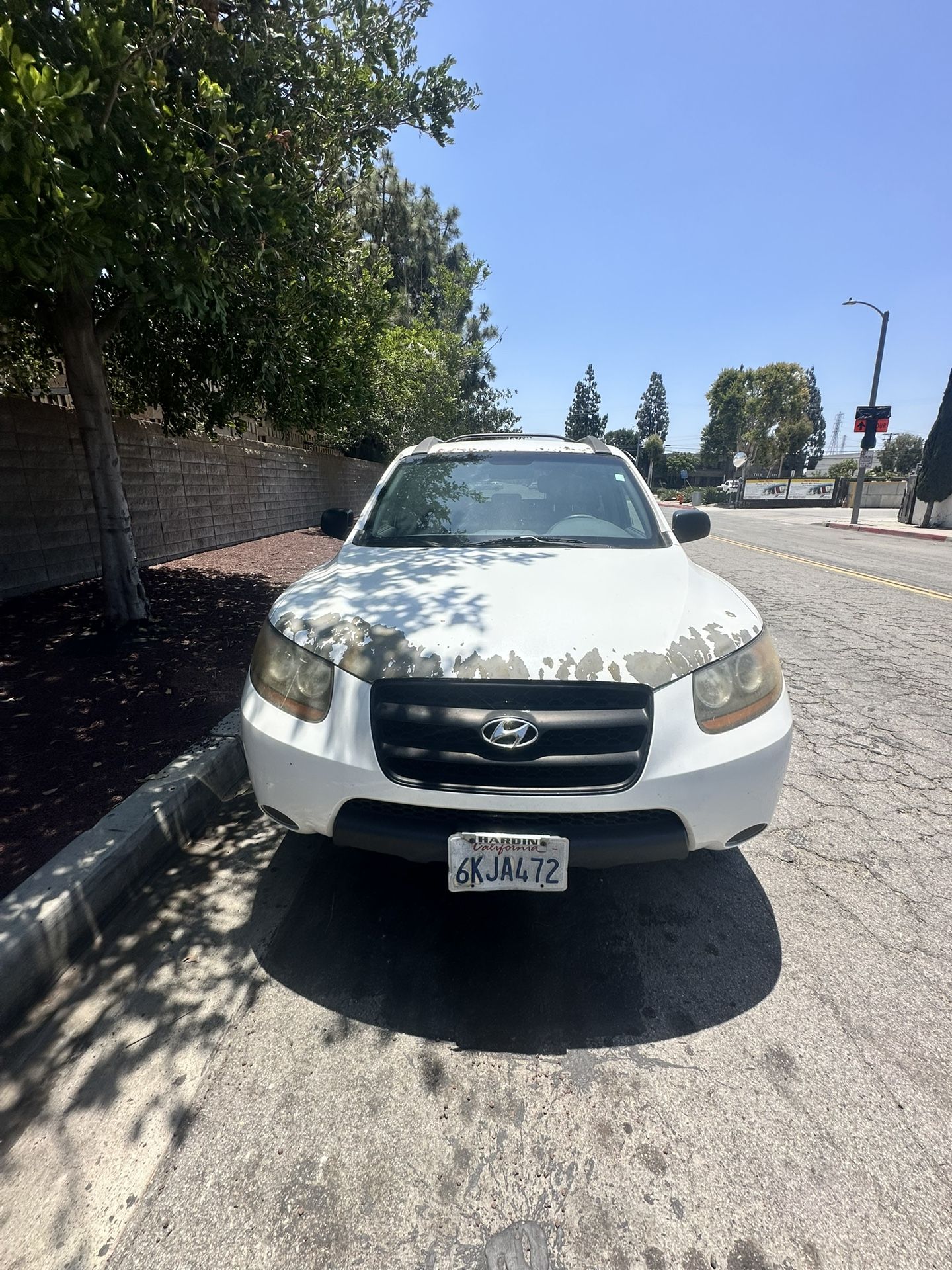 2009 Hyundai Santa FE