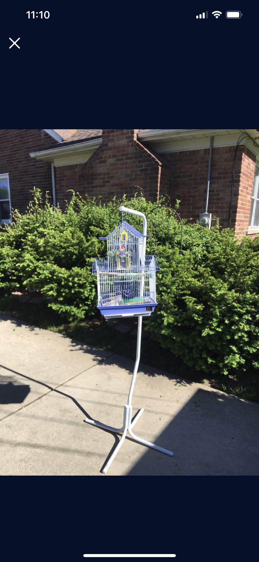 Bird gauge with feeder and bird toy and stand